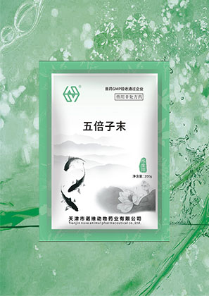 五倍子末