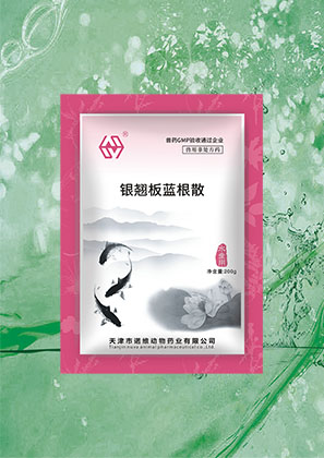银翘板蓝根散